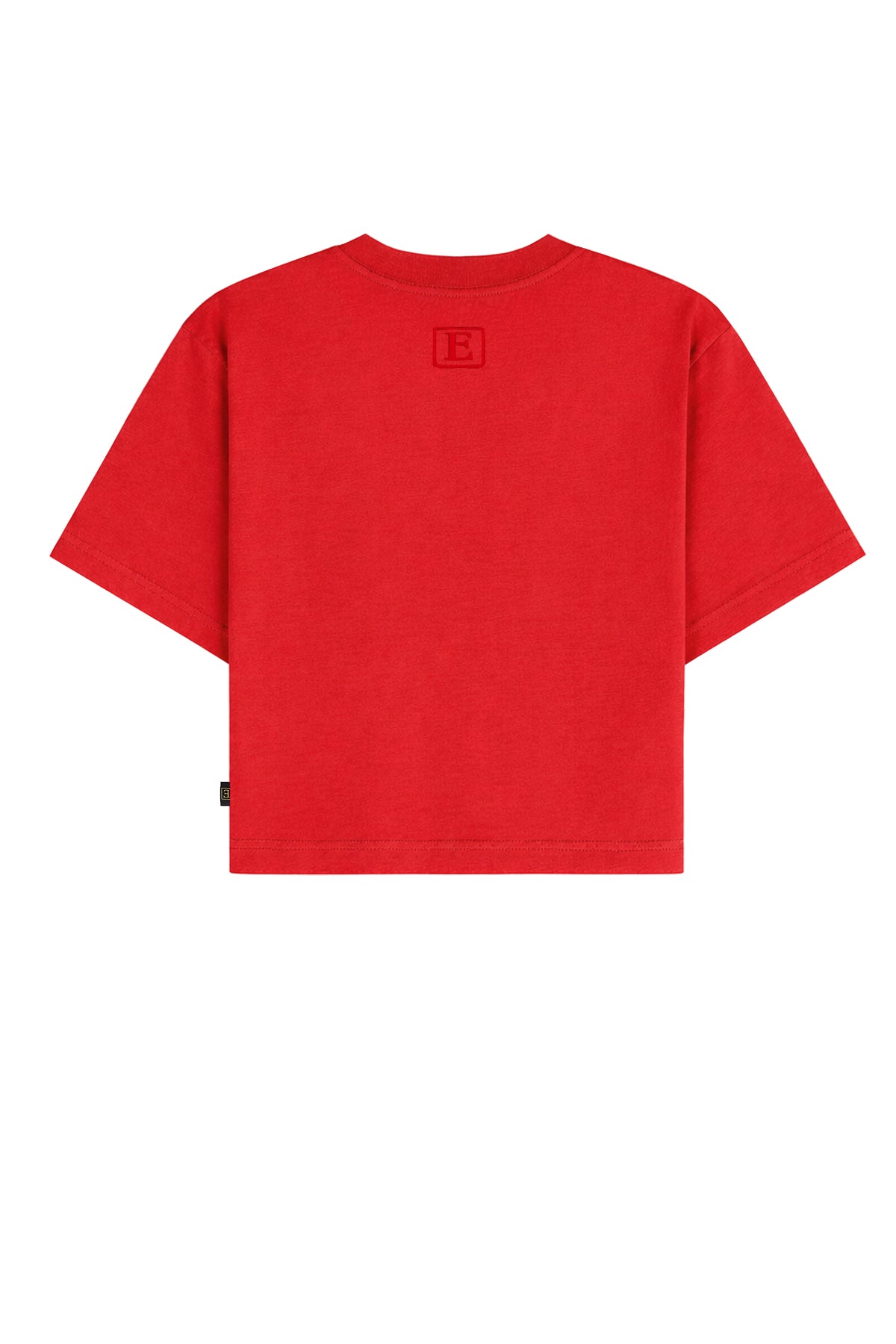 Basic Crop T-Shirt