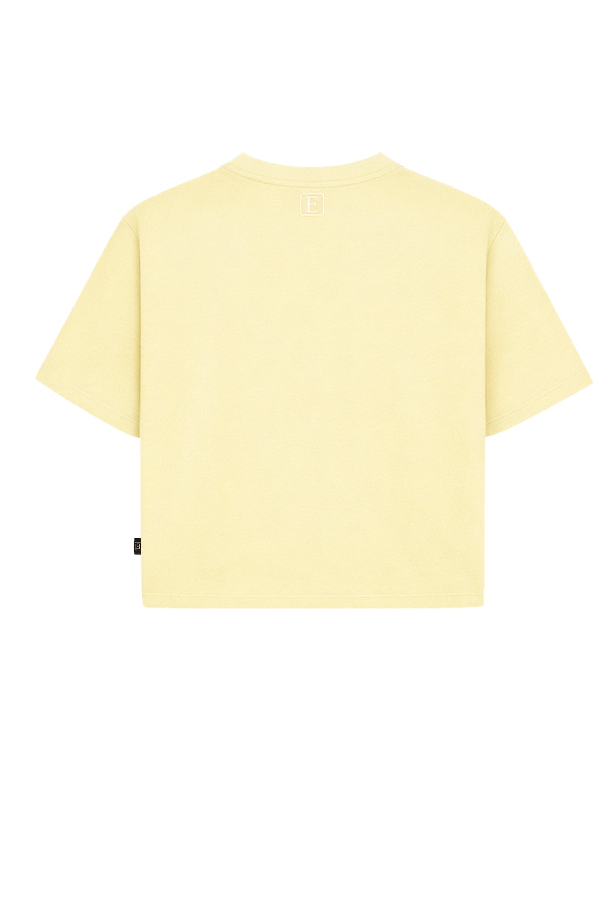 Basic Crop T-Shirt