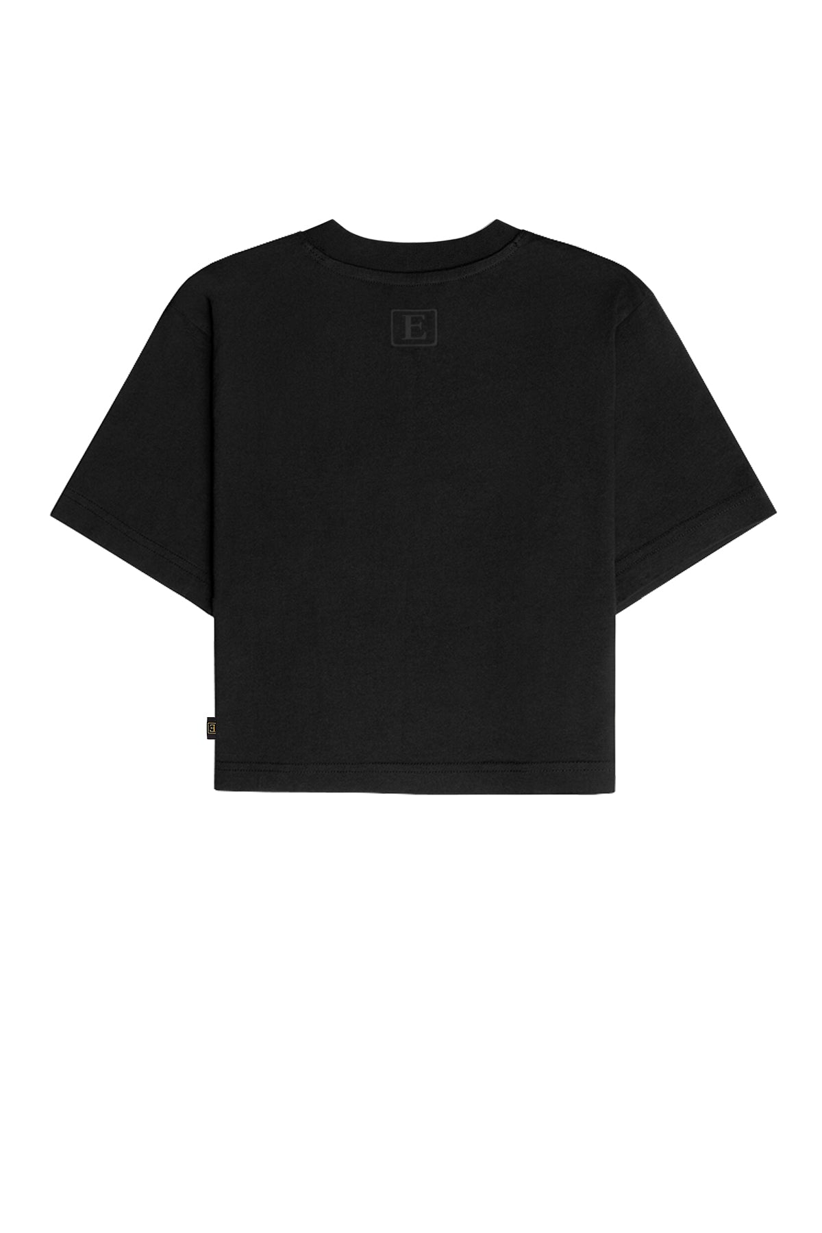 Basic Crop T-Shirt