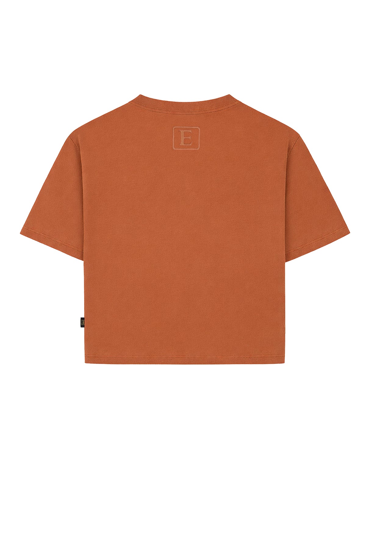 Basic Crop T-Shirt