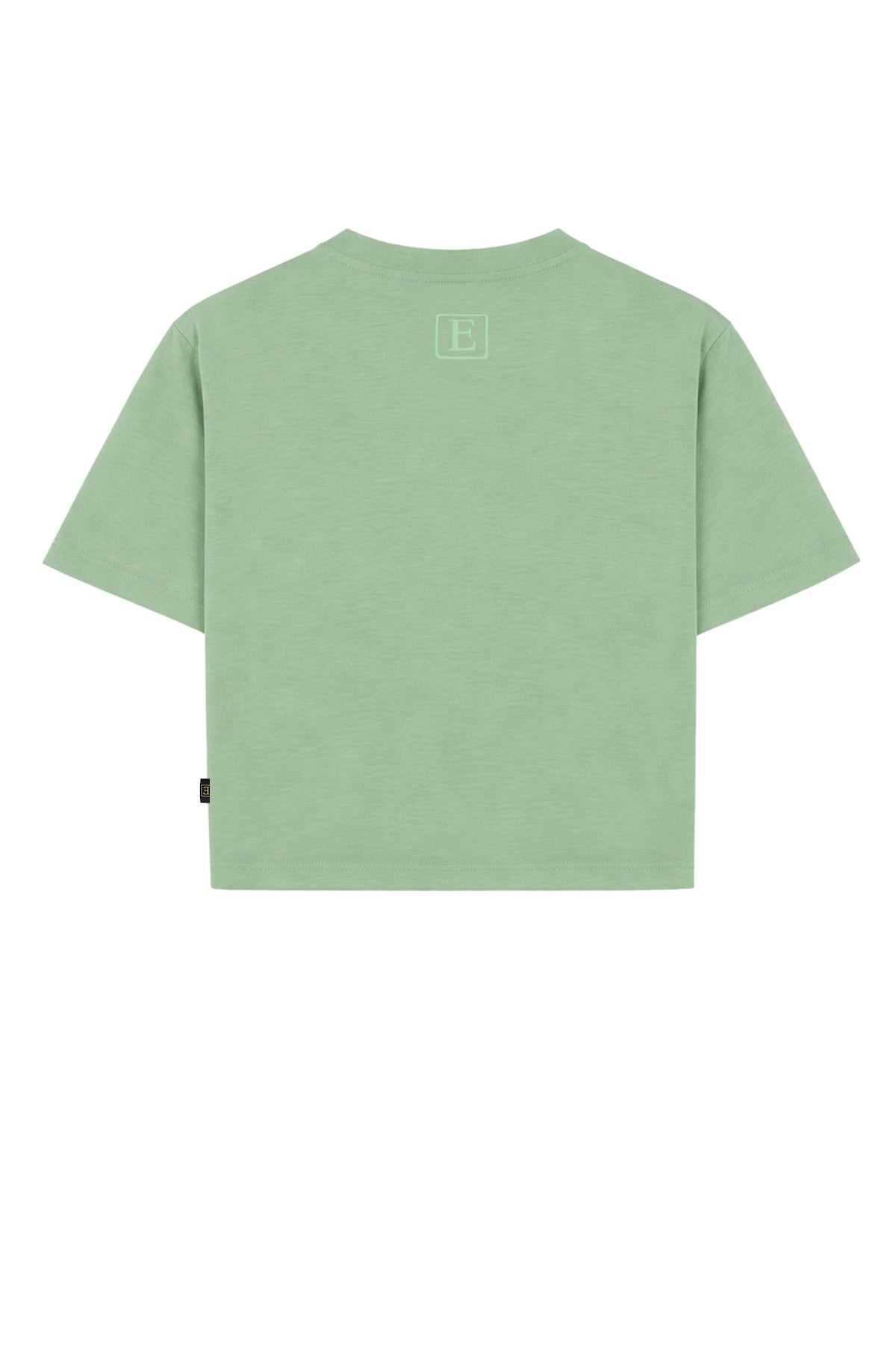 Basic Crop T-Shirt